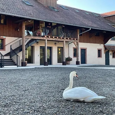 Hotel Du Domaine Saint Loup Michelbach