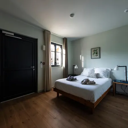 Du Domaine Saint Loup