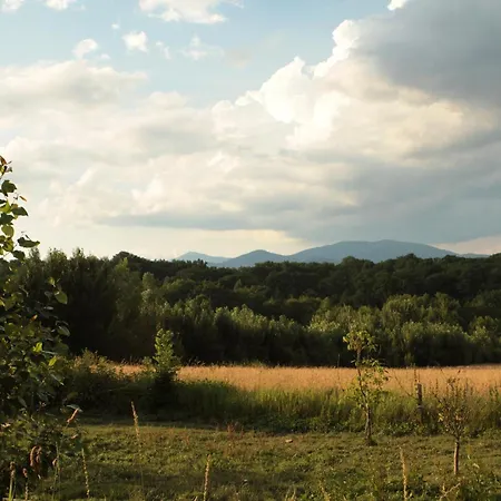 Du Domaine Saint Loup