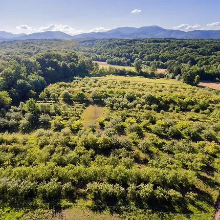 Du Domaine Saint Loup Michelbach