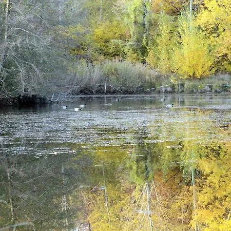 Hotel Du Domaine Saint Loup Michelbach